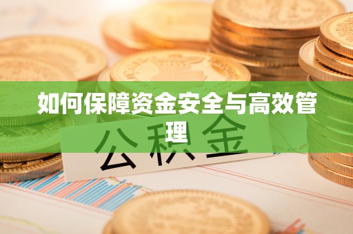 长顺如何保障资金安全与高效管理