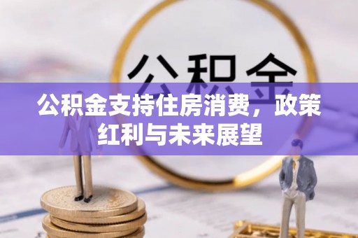 长顺公积金支持住房消费，政策红利与未来展望