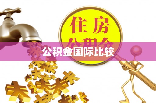 长顺公积金国际比较