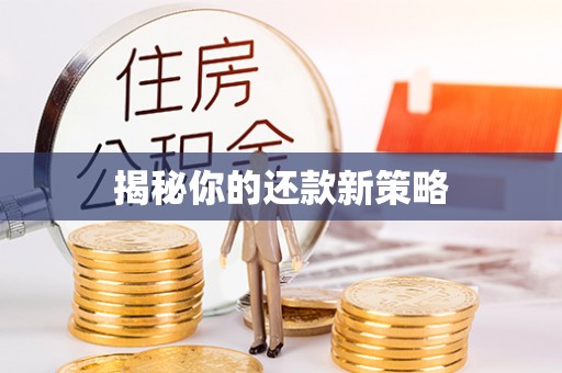 长顺揭秘你的还款新策略