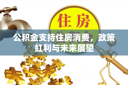 长顺公积金支持住房消费，政策红利与未来展望
