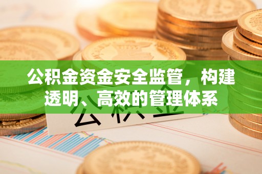 长顺公积金资金安全监管，构建透明、高效的管理体系