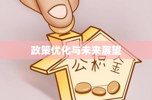 长顺政策优化与未来展望