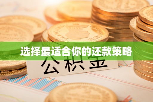 长顺选择最适合你的还款策略