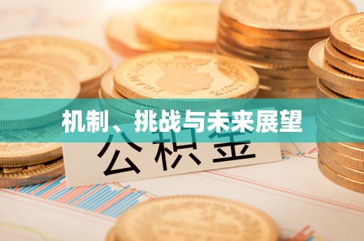 长顺机制、挑战与未来展望